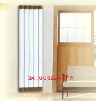 廠家直銷暖貝爾散熱器SCTLZY75/58-300-1.2單罩銅鋁復(fù)合散熱器/工程家庭首選/中國采暖行業(yè)十佳品牌圖片_高清圖_細(xì)節(jié)圖-臨朐國泰暖通設(shè)備 -